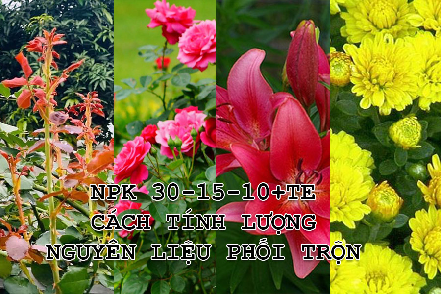 NPK 30-15-10+TE cách tính lượng nguyên liệu phối trộn